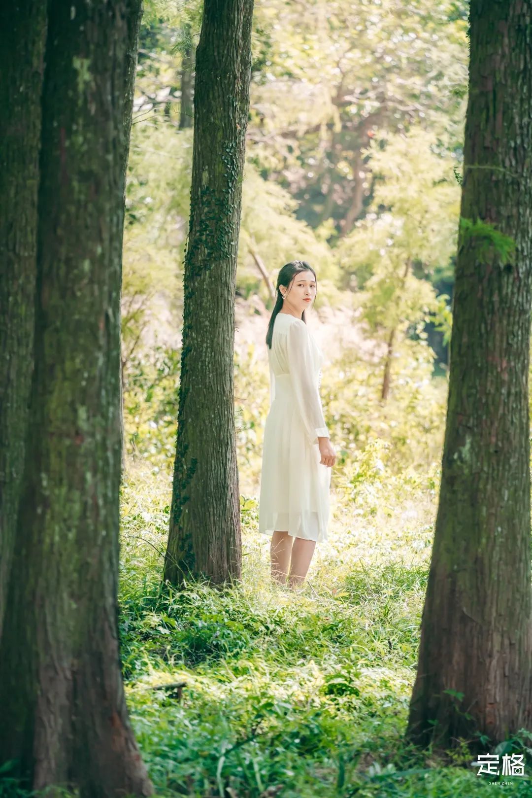 国片林中闻图,探索中国影视文化的独特魅力,探索中国影视文化的独特魅力,国片林中闻图之旅