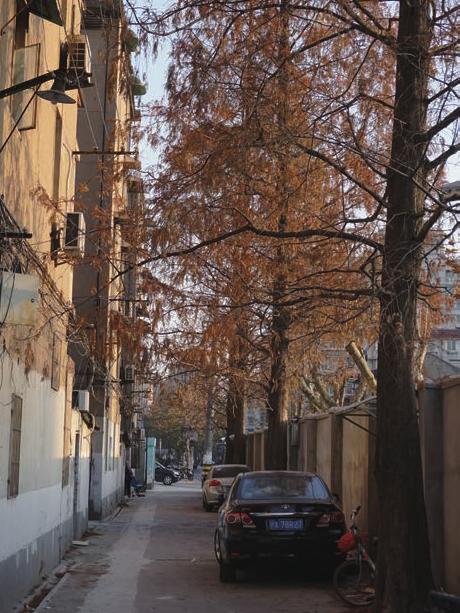 关于呢中王5的全面解析与SEO优化策略，呢中王5全面解析与SEO优化策略指南