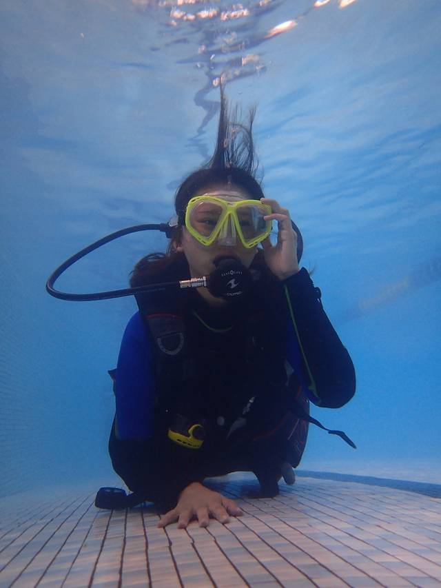 揭秘准军伯一免奥潜中,深度解析背后的SEO策略,深度解析准军伯一免奥潜中的SEO策略揭秘