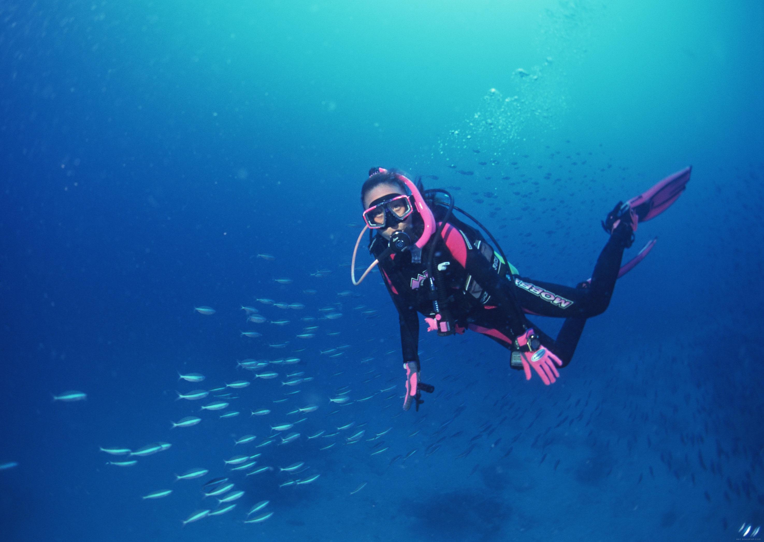 揭秘准军伯一免奥潜中,深度解析背后的SEO策略,深度解析准军伯一免奥潜中的SEO策略揭秘