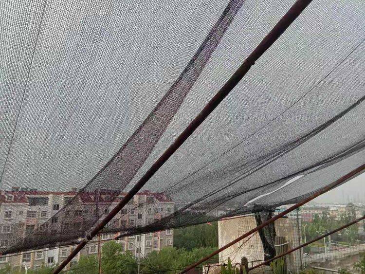 美步特2良快，探索其优势与特点，美步特2良快，优势与特点深度解析