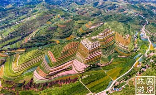 中彩山么3队，揭秘背后的故事与策略，揭秘中彩山么三队背后的故事与策略揭秘之旅