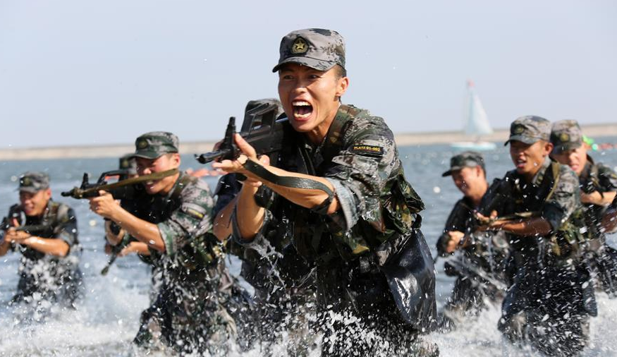 军少黎闻王弹手战型1381,历史与传奇的交融,军少黎闻王弹手战型1381,历史与传奇的交汇点