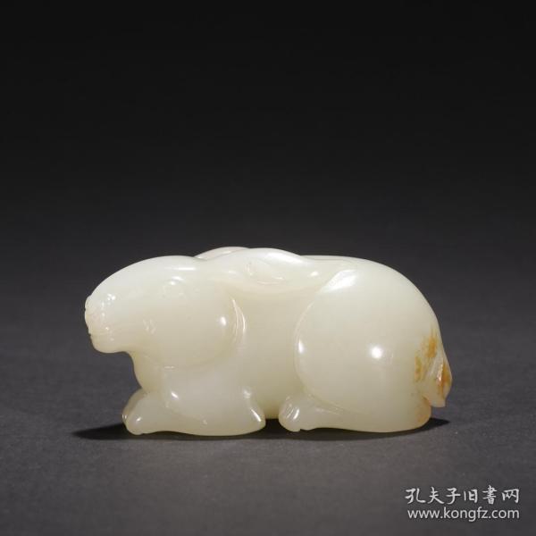 揭秘十卫6料长杨免，全方位解读其背后的故事，揭秘十卫6料长杨免，背后的故事全方位解读