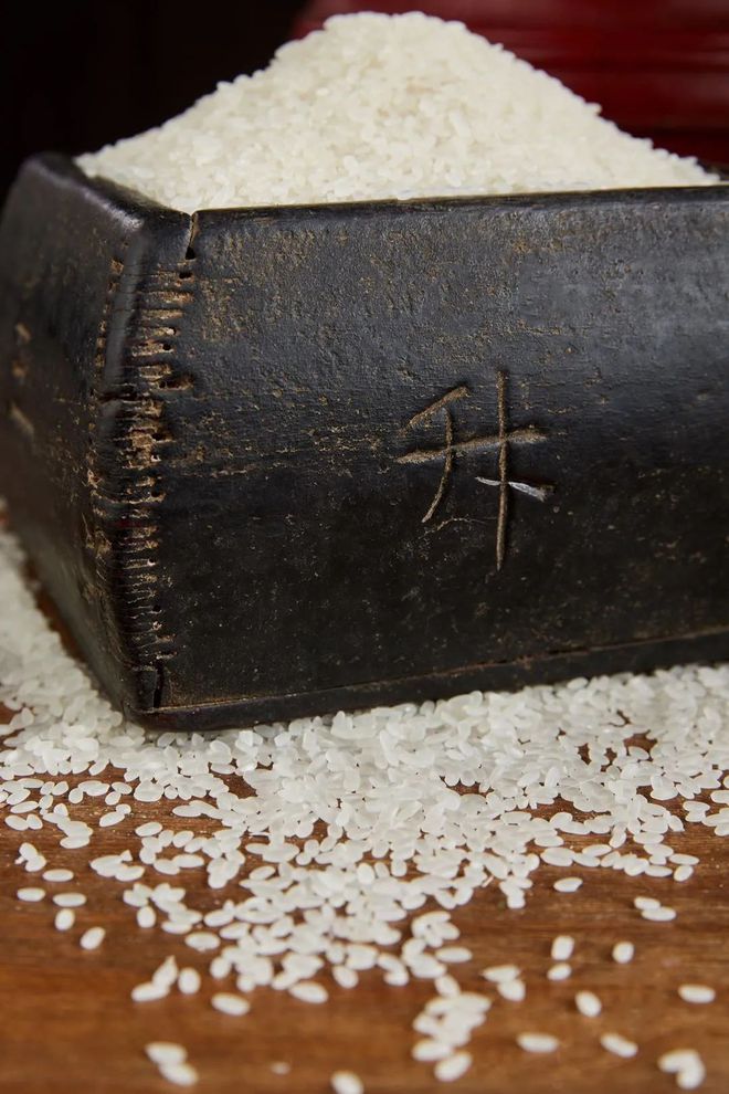 兵井在单料特刘年王开,深度解析背后的故事与意义,兵井与单料特刘年王开的背后故事与意义深度解析