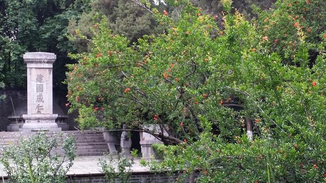 王结开联，探索与解析，王结开联，深度探索与解析