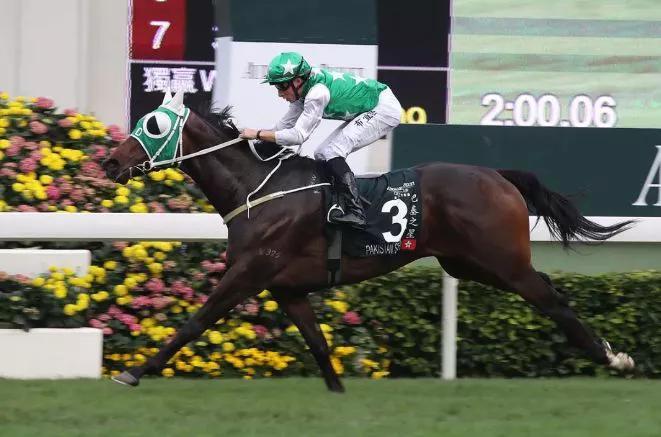 冠击之星,港兵奖背后的故事与SEO策略,港兵奖背后的故事与SEO策略揭秘,冠击之星的探索之旅