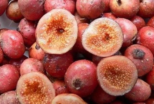 背后的故事与奥秘探寻 第4页