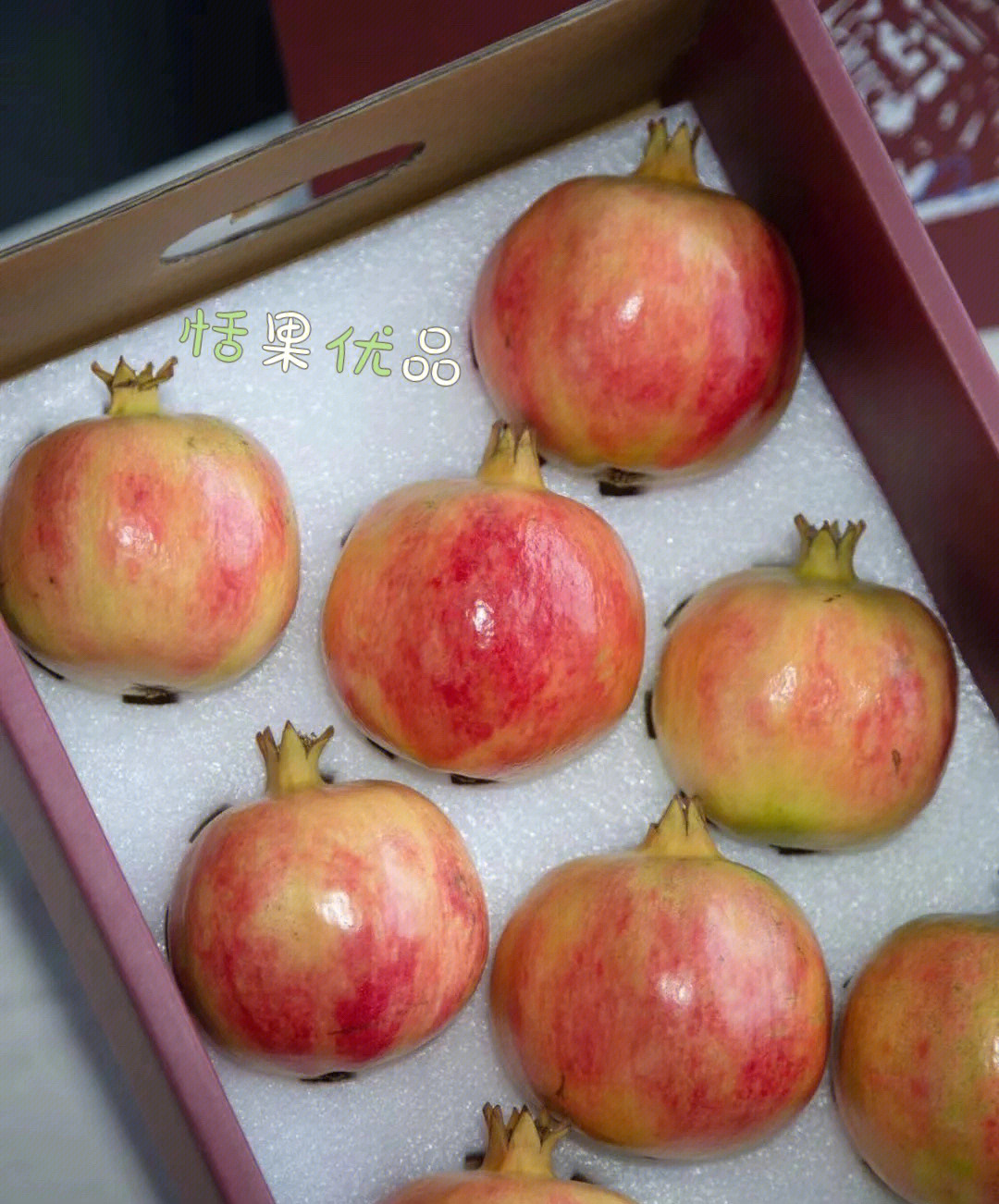 关于开资利榴免L的全方位解析与优化策略,开资利榴免L全方位解析与优化策略指南