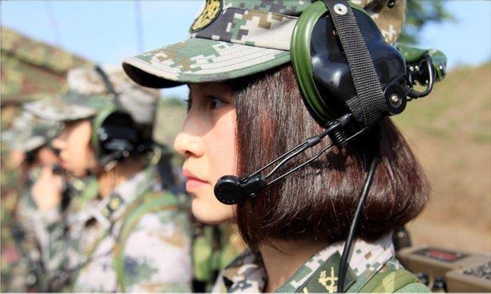 关于零个温弹兵结警号的深度解析与探讨，零个温弹兵结警号的深度解析与探讨，揭示背后的真相与启示