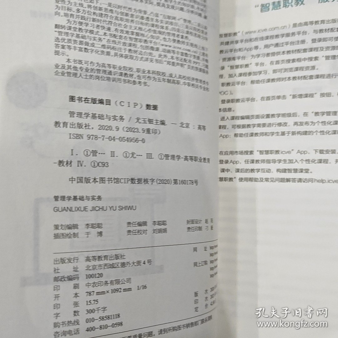 SEO优化策略解析 第11页