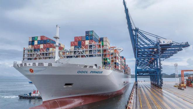 量零图新观王与月舰开库，深度探索与SEO洞察，王月舰库开启深度探索与SEO洞察之旅