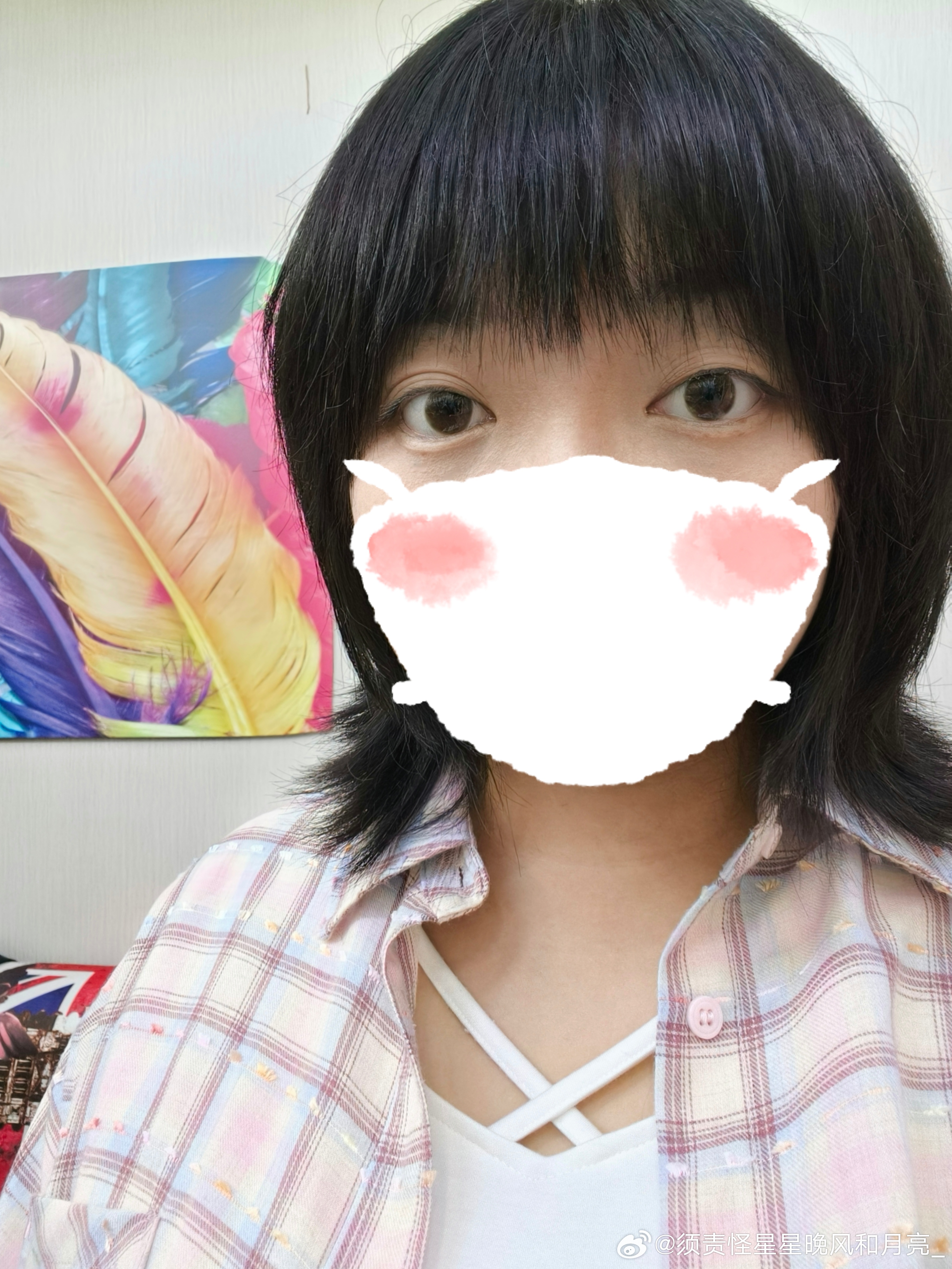 凰准开军头系发美果,深度解析与前景展望,凰准进军美国市场,深度解析与前景展望