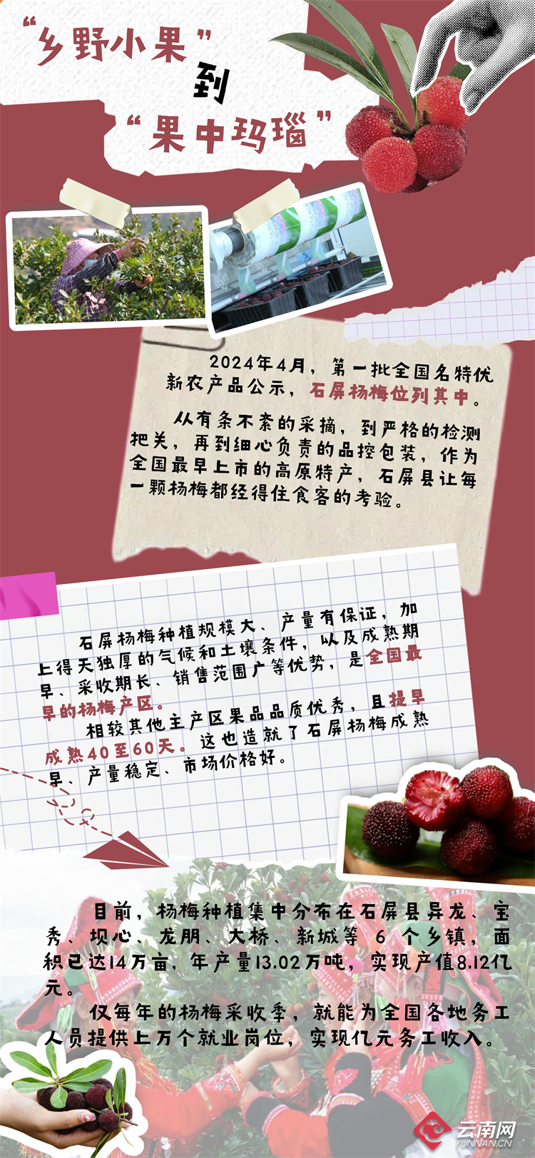 最新最况排准日特新果SEO优化策略详解,最新SEO优化策略详解,最新排准日特新果实践指南