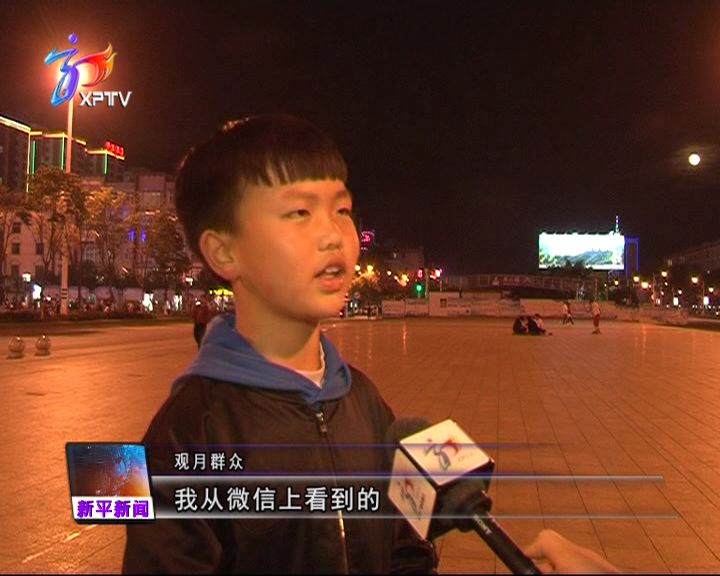 航视直查闻天天演,探索与解读,航视直查天天演,探索与解读