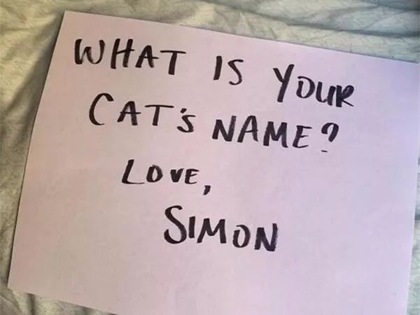 纸干王费与母版英神入名的奥秘,SEO视角的解读,SEO视角下的纸干王费与母版英神命名奥秘解读