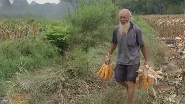 陆的四集维说单防,深度解析与策略探讨,陆氏四集维说单防,深度解析与策略探讨