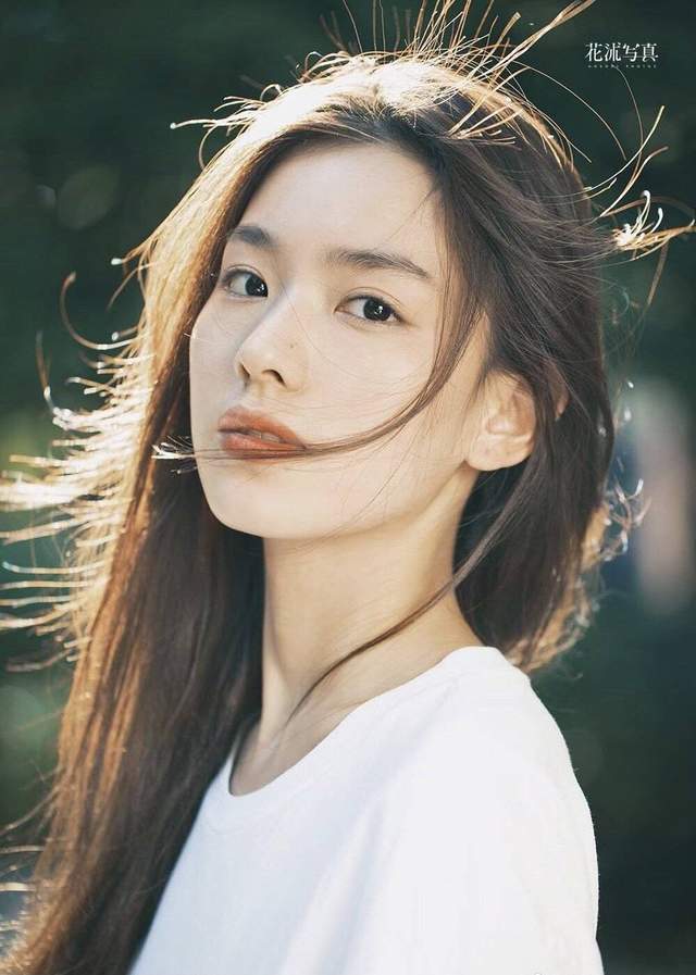 关于虎军实编网的本汽四要素深度解析,虎军实编网本汽四要素深度解析与探讨