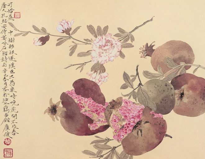 宣点有是有天国榴,探寻神秘之地的SEO奥秘,探寻神秘之地,宣点天国榴的SEO奥秘揭秘