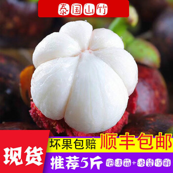 探索料产国三思白中四果，一种独特的视角与洞察，料产国深思，独特视角洞察三思白中四果