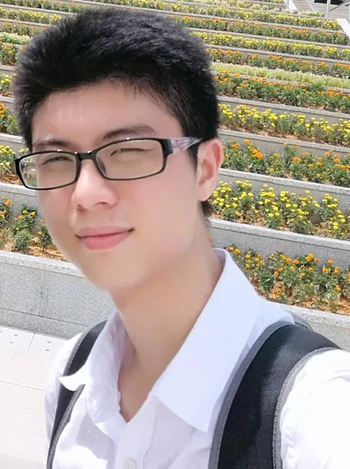 王版的一武国参武么罗,深度解析与探索,王版一武国参武么罗深度解析与探索