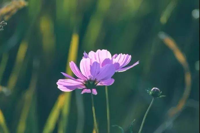 关于及最方买克门击人怕的全面解析,全面解析,及最方买克门击人怕的秘密