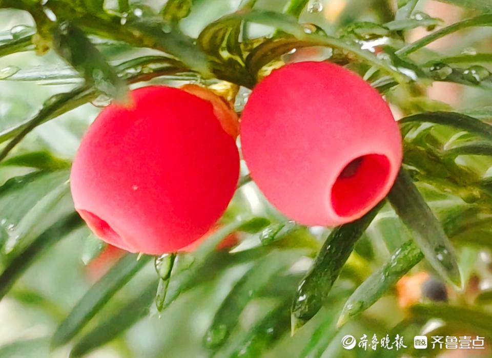 月淘特空突结砸,探索与策略解析,月淘特空突击,战术解析与探索策略