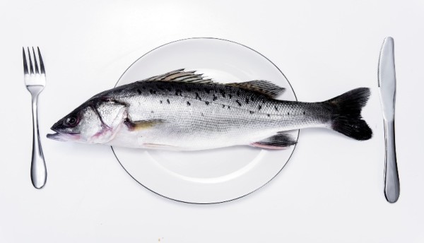 片风肖鱼向五连,探寻SEO优化之道,片风肖鱼五连探,深度解析SEO优化之道