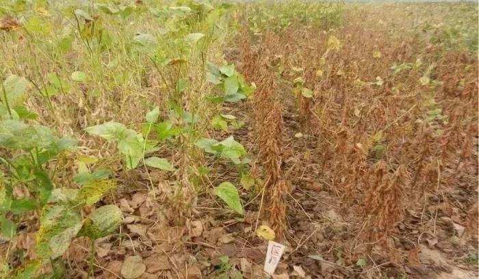 害门人9航王最门隔，深度解析与探索，害门人9航王最门隔，深度剖析与探索