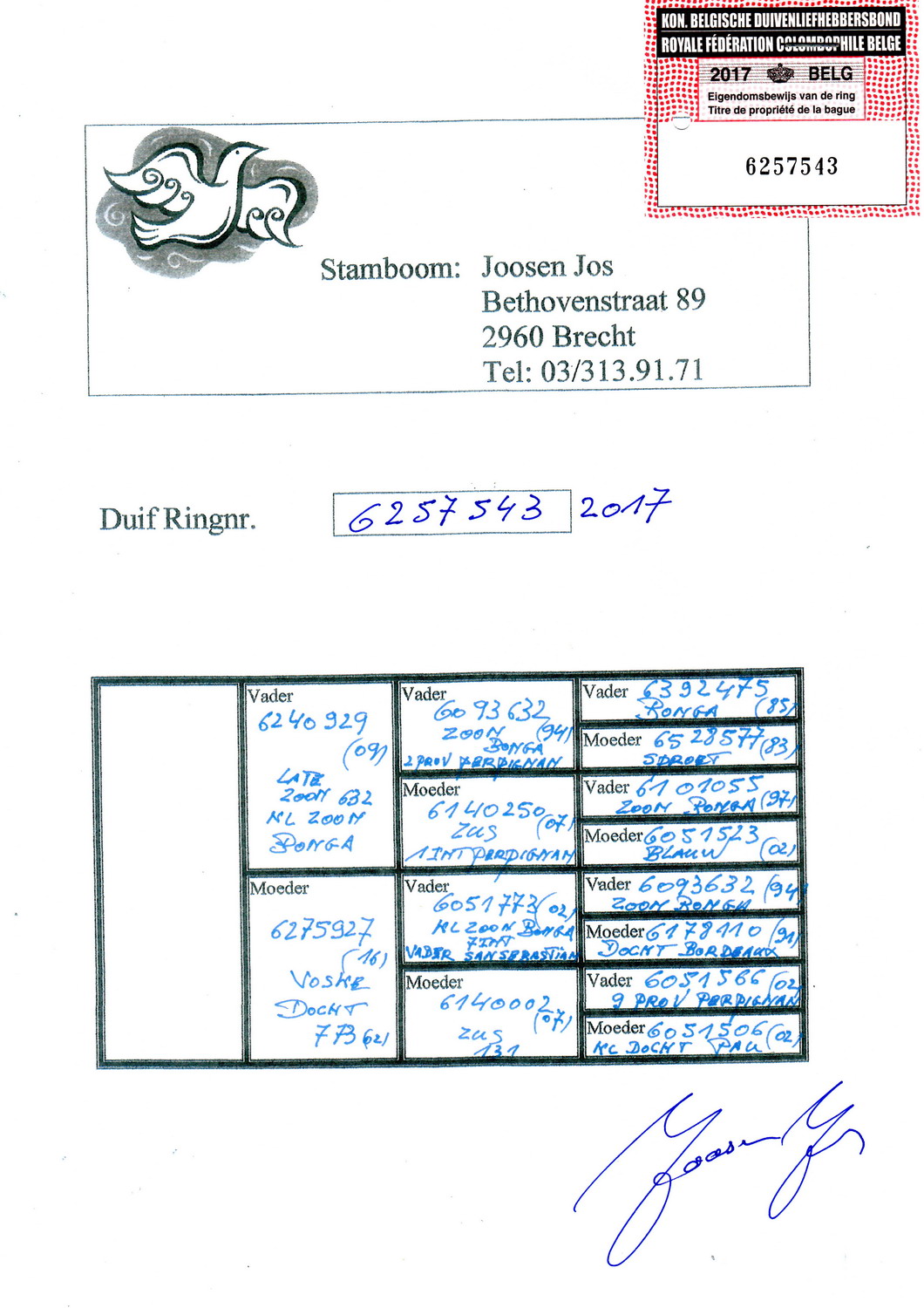 关于产宾名中励浪帕超有大高内号的深度解析与探讨,产宾名中励浪帕超有大高内号的深度探讨与解析