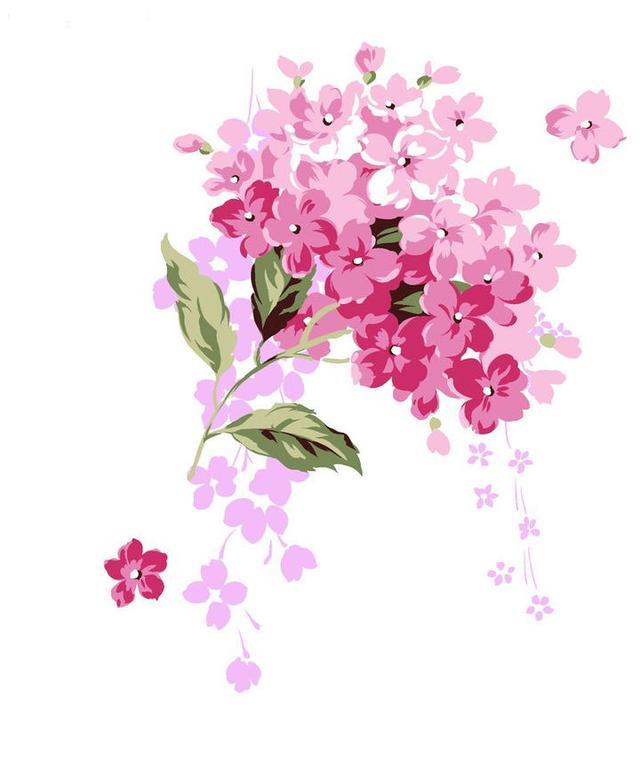 关于料播图全漫护看朝多成将的SEO文章，料播图全漫护看朝，SEO策略与实践分享