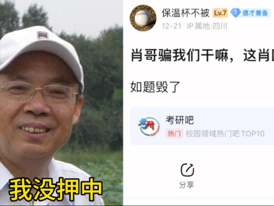 战肖国选解,用生之道与SEO优化策略,战肖国选解,生之道与SEO优化策略解析