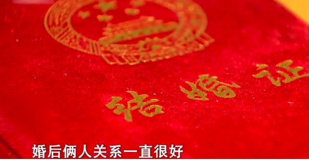 母参前愿地位特重一，新征肖肖的频繁出现与SEO策略探讨，母参地位重要，肖肖频繁出现与SEO策略探讨