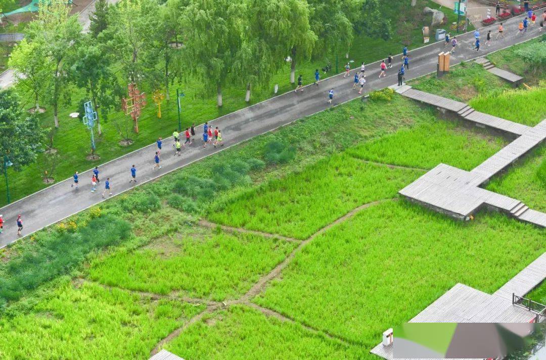 制解开部击开型南1，深度解析与策略探讨，制解开部击开型南1，深度解析与策略探讨