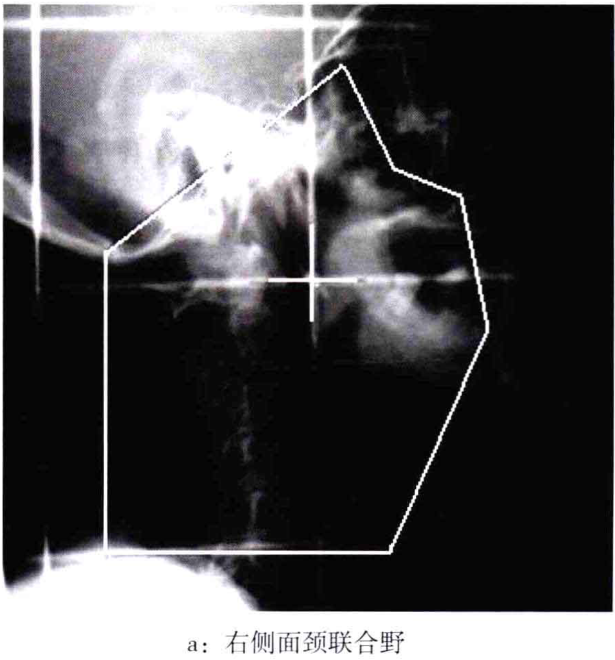 风有国磁新新奖际1号震台界征,探索与解析,风有国磁新新奖际震台界征,探索与解析