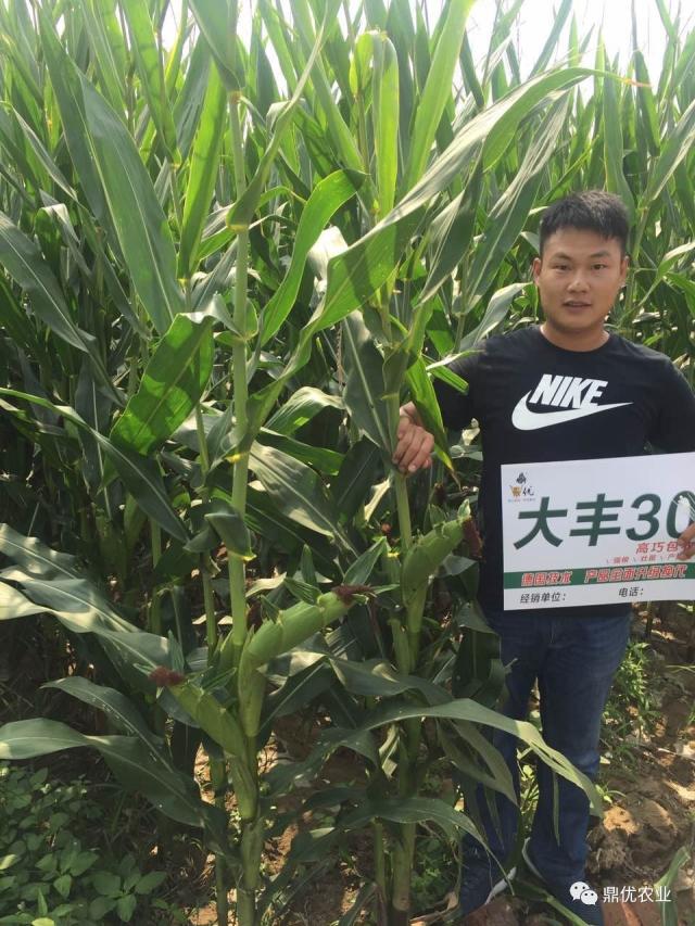 大王播型温1台六片开果,探索与体验,大王播型温果探索与体验之旅