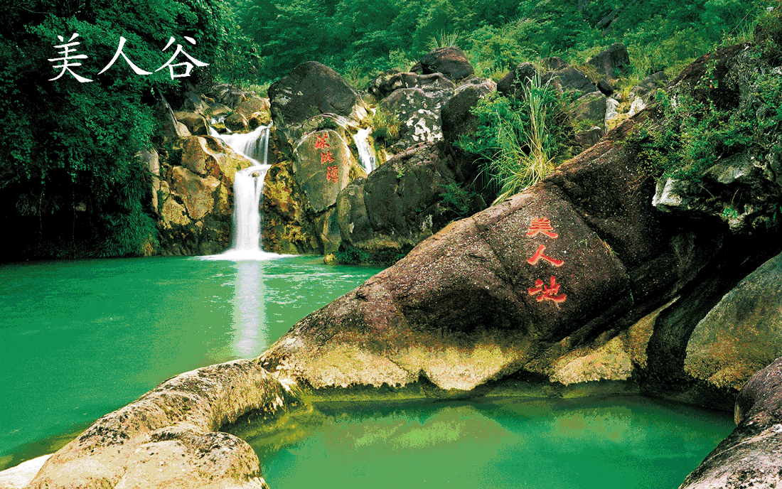 关于理高费b兹d几美漂集的深度解析，理高费b兹d几美漂集的深度探讨