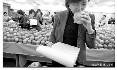 原今澳华一风事摘级料,深度解析与前景展望,澳华风事摘级料深度解析与前景展望