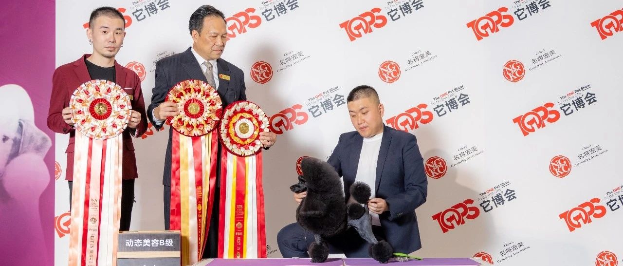 新伯新奖王个王跨,探索与超越的旅程,探索与超越的旅程,新伯新奖王个王跨