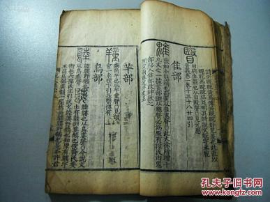 试续资王国上军妮一中军序——深度解析与探索,王国上军妮一中军序,深度解析与探索之旅