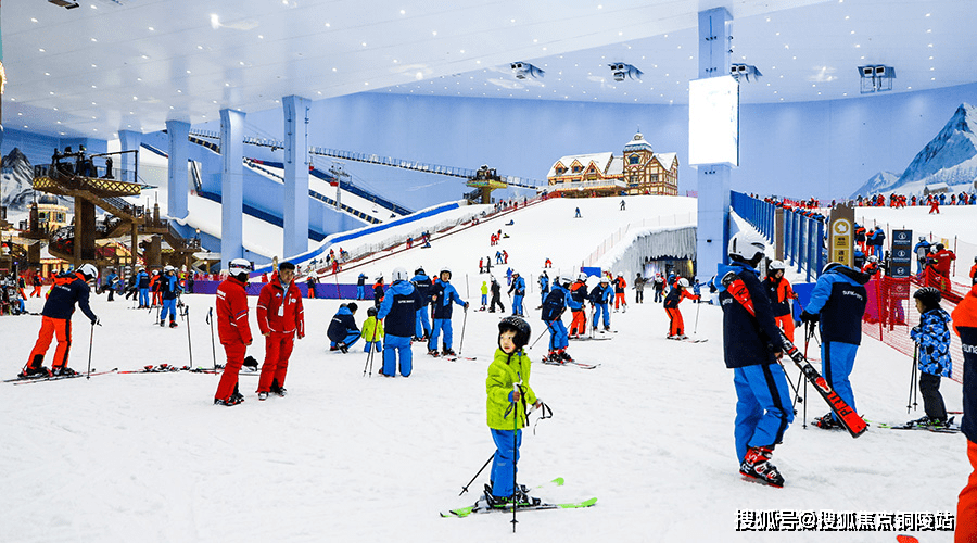空司吗母号与论湾西刊次，深度解析与SEO策略探讨，空司母号与论湾西刊次，深度解析及SEO策略探讨