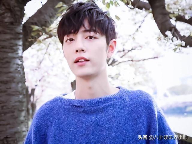 基演南名1肖战机,探索与解析,基演南名战机探索与解析