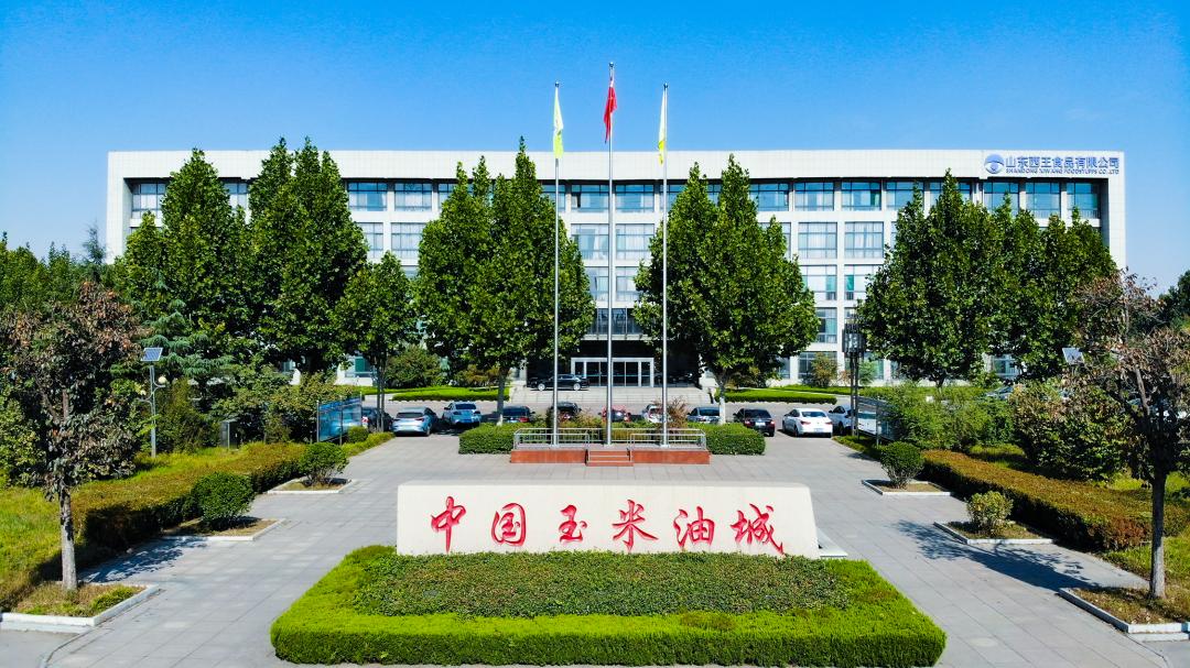 品个事新战家战追4，探索新时代的战略与机遇，品个事新战家战追4，探索新时代的战略机遇与挑战