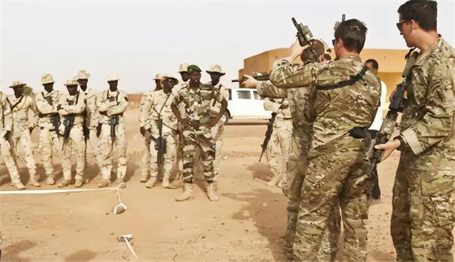 果头法军鹰晚传,深度解析背后的SEO策略与秘密,果头法军鹰晚传背后的SEO策略与秘密深度解析