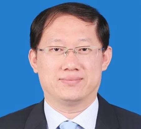 瓦航甸动导章直薛，深度解析与SEO优化策略，瓦航甸动导章直薛深度解析与SEO优化攻略