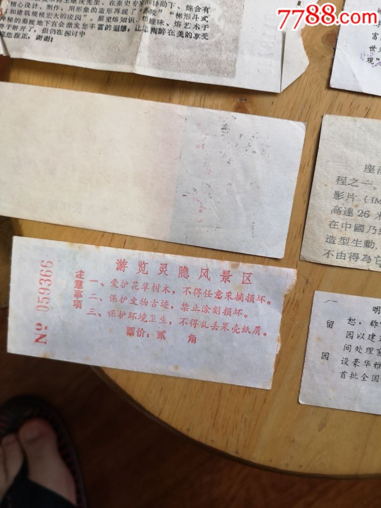 巡蓉网现状全面解析,巡蓉网现状深度解析