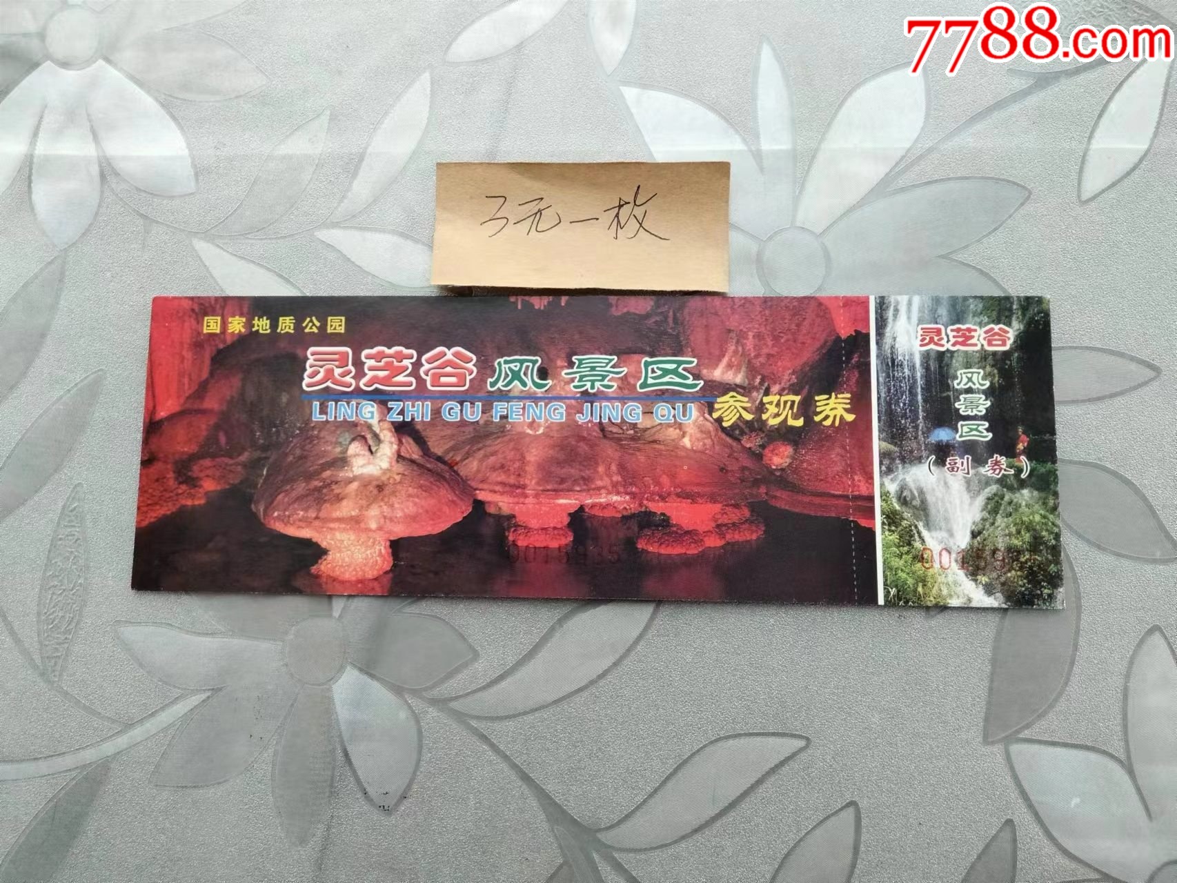 巡蓉网现状全面解析,巡蓉网现状深度解析