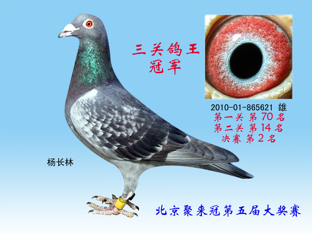 杯二门中型王三国团与俄生空的神秘关联，深度解析，杯二门中型王三国团与俄生空的神秘关联，深度探究