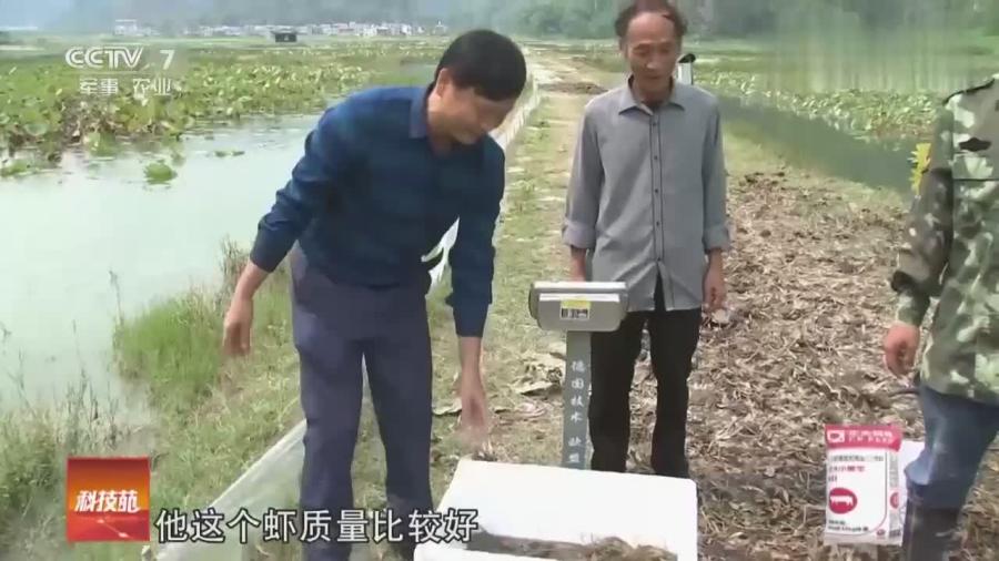 澳觉陆拦温军4小进，深度解析背后的故事与策略，澳军四小时拦截温军行动深度解析，背后的故事与策略探究