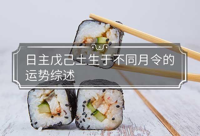 毛格肖步空日主中的奥秘与SEO优化策略,毛格肖步空日主奥秘与SEO策略解析